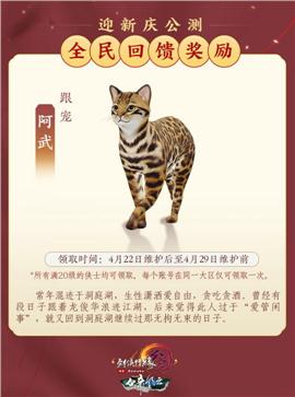黄色私服天龙八部
